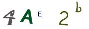Obrázkové CAPTCHA