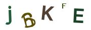Obrázkové CAPTCHA