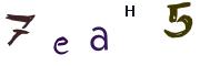 Obrázkové CAPTCHA
