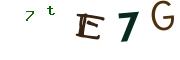 Obrázkové CAPTCHA