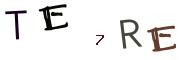Obrázkové CAPTCHA