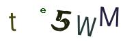 Obrázkové CAPTCHA
