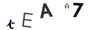 Obrázkové CAPTCHA