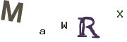 Obrázkové CAPTCHA
