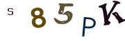 Obrázkové CAPTCHA