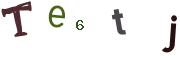 Obrázkové CAPTCHA
