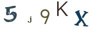 Obrázkové CAPTCHA