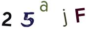Obrázkové CAPTCHA