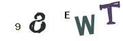 Obrázkové CAPTCHA