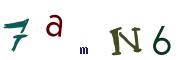 Obrázkové CAPTCHA
