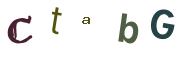Obrázkové CAPTCHA