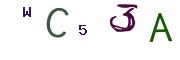 Obrázkové CAPTCHA