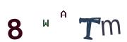 Obrázkové CAPTCHA