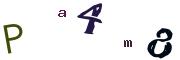 Obrázkové CAPTCHA