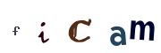 Obrázkové CAPTCHA