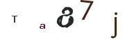 Obrázkové CAPTCHA