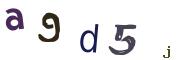Obrázkové CAPTCHA
