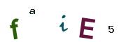 Obrázkové CAPTCHA