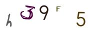 Obrázkové CAPTCHA