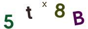 Obrázkové CAPTCHA