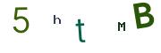 Obrázkové CAPTCHA