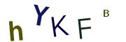 Obrázkové CAPTCHA