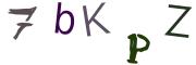 Obrázkové CAPTCHA