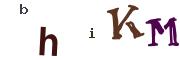Obrázkové CAPTCHA