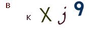 Obrázkové CAPTCHA