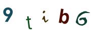 Obrázkové CAPTCHA