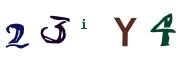 Obrázkové CAPTCHA