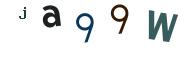 Obrázkové CAPTCHA