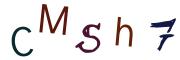 Bild-CAPTCHA