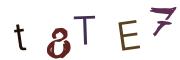 Bild-CAPTCHA