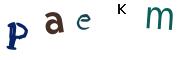 Bild-CAPTCHA